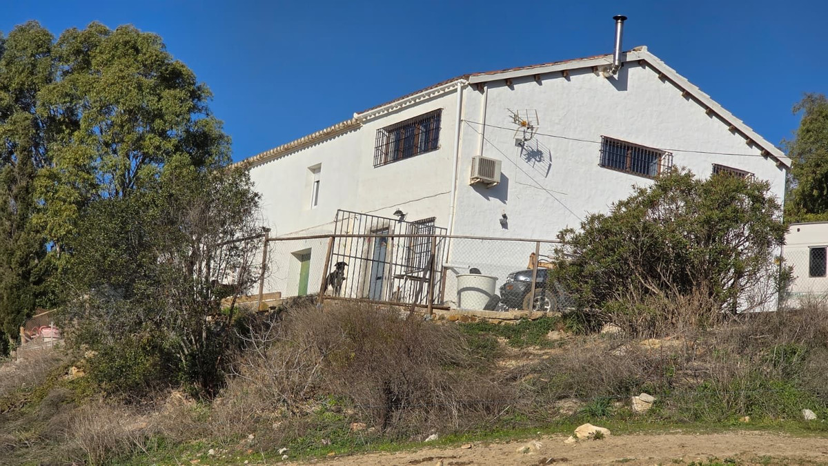 Pizarra